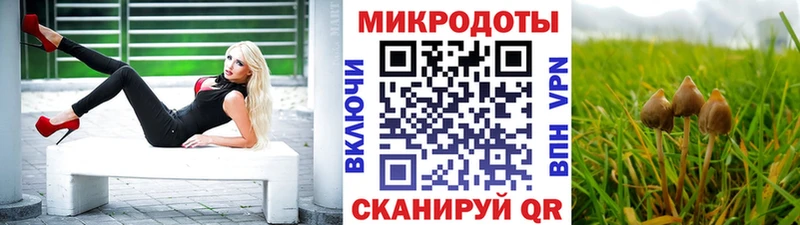 MEGA маркетплейс  продажа наркотиков  Лебедянь  Галлюциногенные грибы Cubensis 